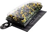 Jump Start CK64050 Germination Station w/Heat Mat Tray, 72-Cell Pack, One size, 2' Dome