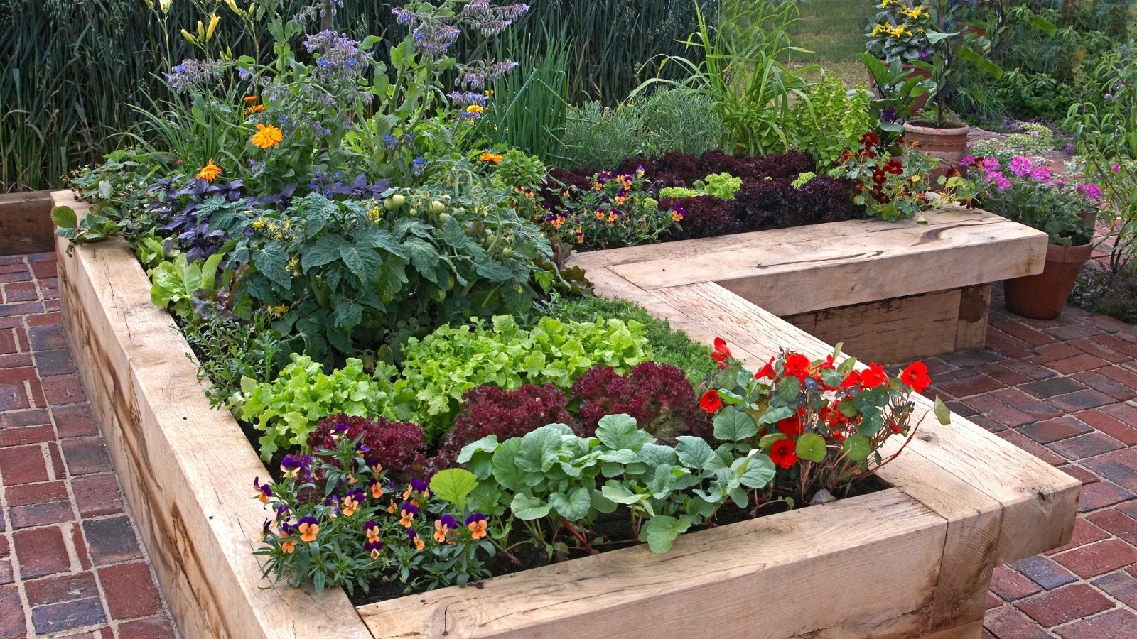 A wooden raised bed filled with green plants and blossoming flowers of various colors, creating a lively garden scene full of natural beauty and charm.