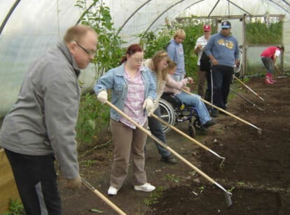 Accessible garden