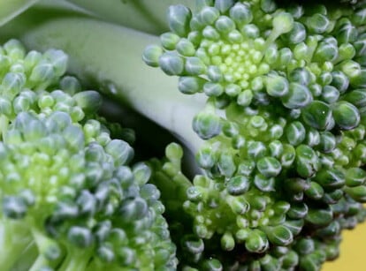 Broccoli companion plants