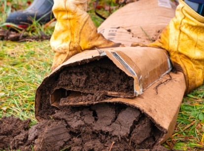 Using cardboard safe for garden. Close-up of a gardener wearing large yellow gardening gloves rolling wet soil into cardboard. The soil is moist and lumpy.