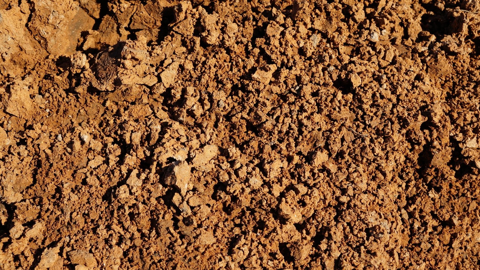 Sunlight streaming over a clay soil, highlighting its earthy tones and texture, creating intricate shadows and patterns, capturing the warmth and richness of the land under the bright, golden rays.