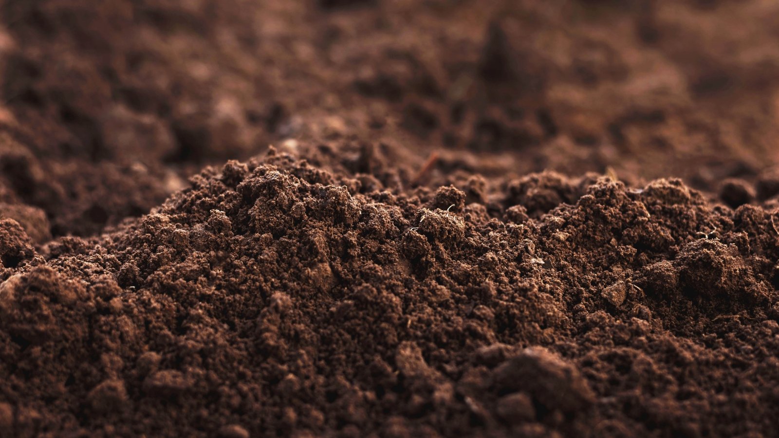 A close-up of rich, crumbly soil teeming with nutrients, ready to nurture life and support vibrant growth, promising bountiful harvests and flourishing greenery in a garden of abundance.