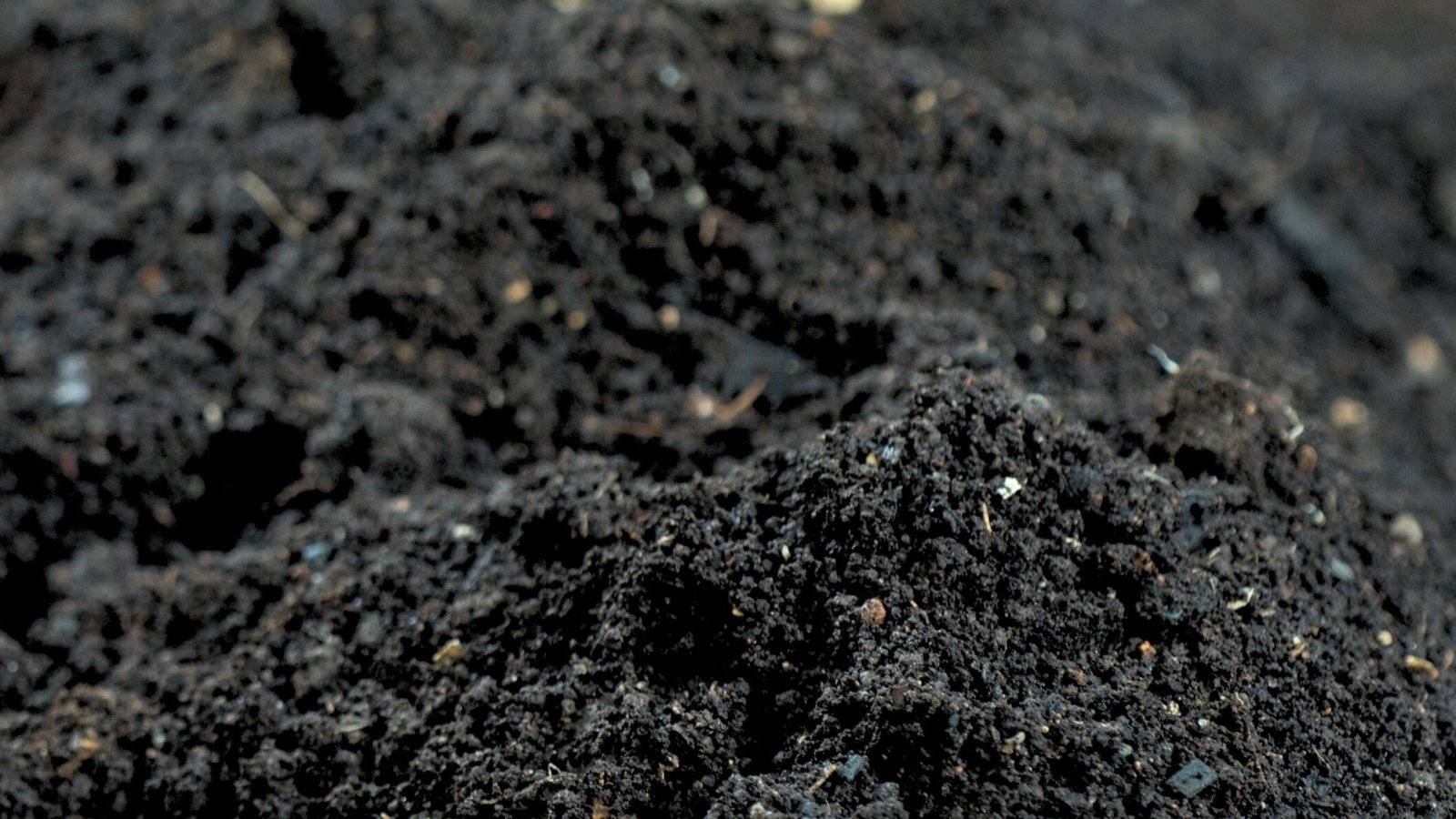 A close-up displaying rich, dark compost soil, teeming with organic matter and nutrients, perfect for nurturing plant life and promoting healthy growth in garden beds and potted plants.