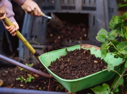 Composting for beginners. Close-up of two gardeners shoveling fresh compost from a compost bin into a small wheelbarrow in the garden. The compost container is tall, plastic, black. The wheelbarrow is green.