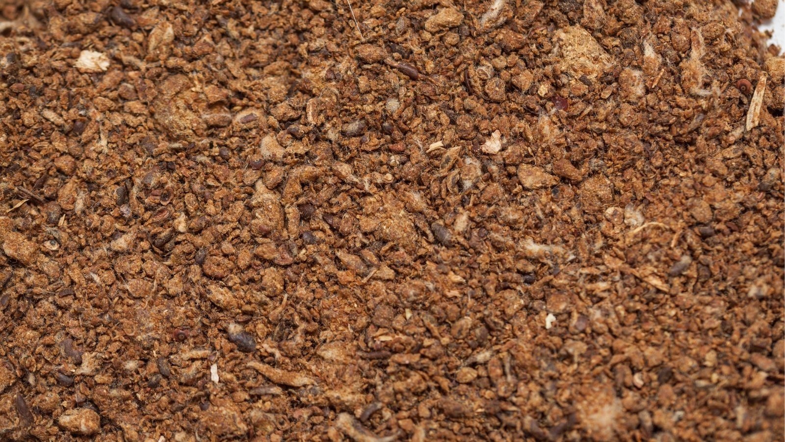 A close-up of Cottonseed Meal reveals finely ground, beige particles rich in nutrients essential for plant growth. Its texture appears powdery, suggesting easy incorporation into soil or compost. This organic fertilizer source promises sustainable nourishment for thriving gardens.