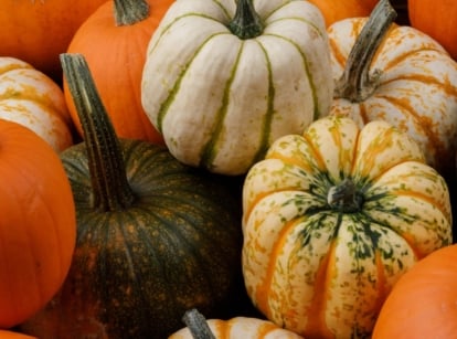 A vibrant mix of small orange and green-striped fruits with smooth, ribbed skins, arranged on a rustic wooden surface with varying shades of orange and green in the stems and body.