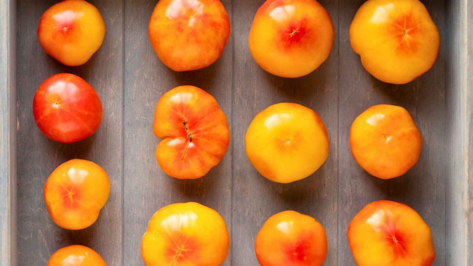 A wooden tray displays vibrant Oaxacan Jewel tomatoes, their orange hues catching the light, arranged neatly and gleaming with freshness, enticing the senses with their juicy promise.