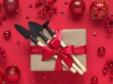 present with garden tools