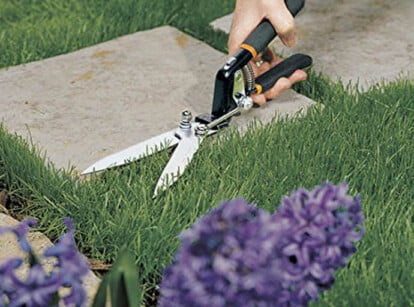 Best Grass Shears