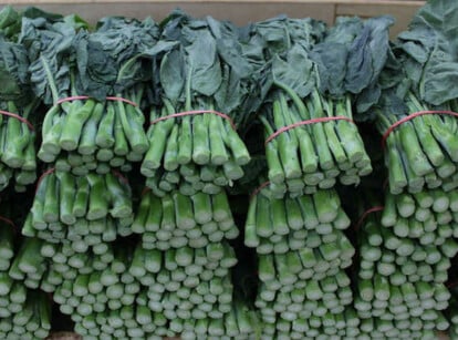 Gai lan