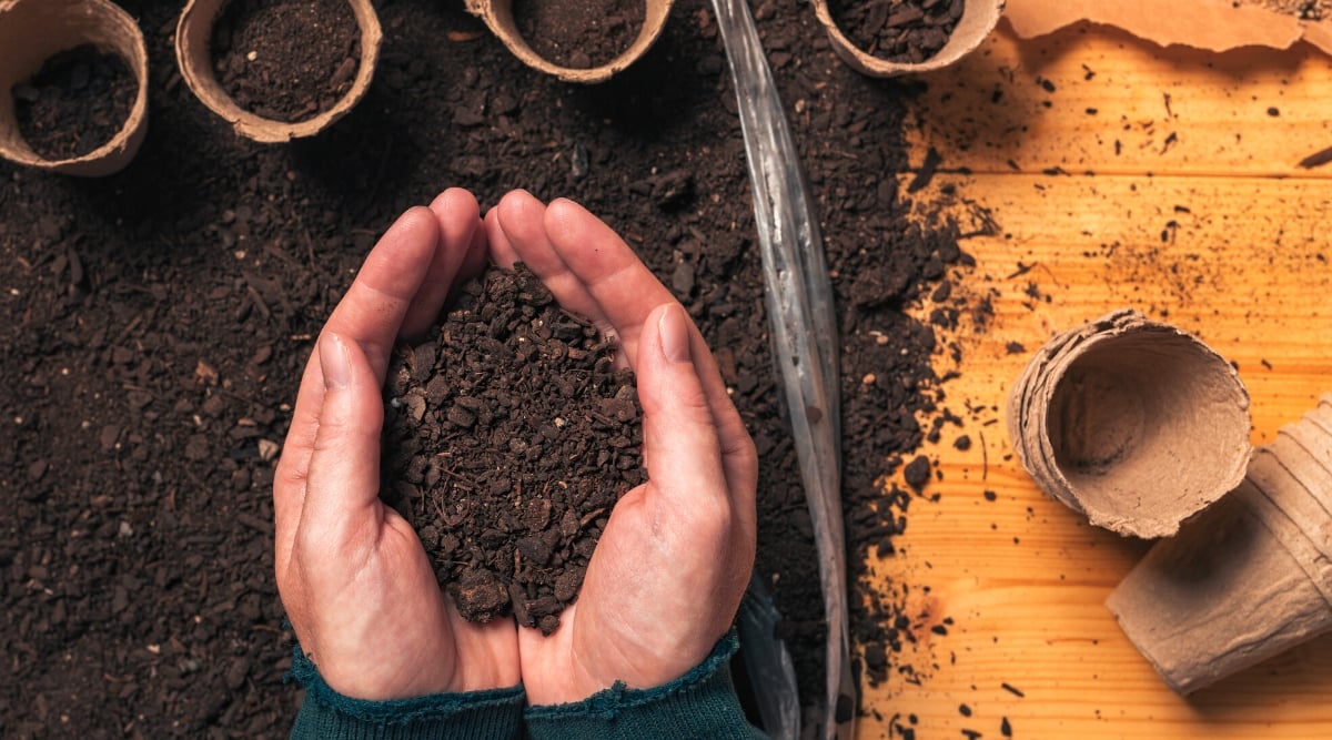 Close-up of a gardener holding soil in cupped hands in front of a wooden table with a pile of soil mixture and small peat pots for sowing seeds. The soil is loose, dark brown. Some pots are half filled with soil.