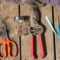 gardening tools in garden