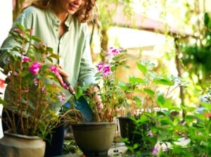 Gardening trends 24. Close-up of a young woman working in the garden. A woman with long curly white hair plants flowering plants in large clay pots. The girl is wearing a light green blouse and blue jeans.