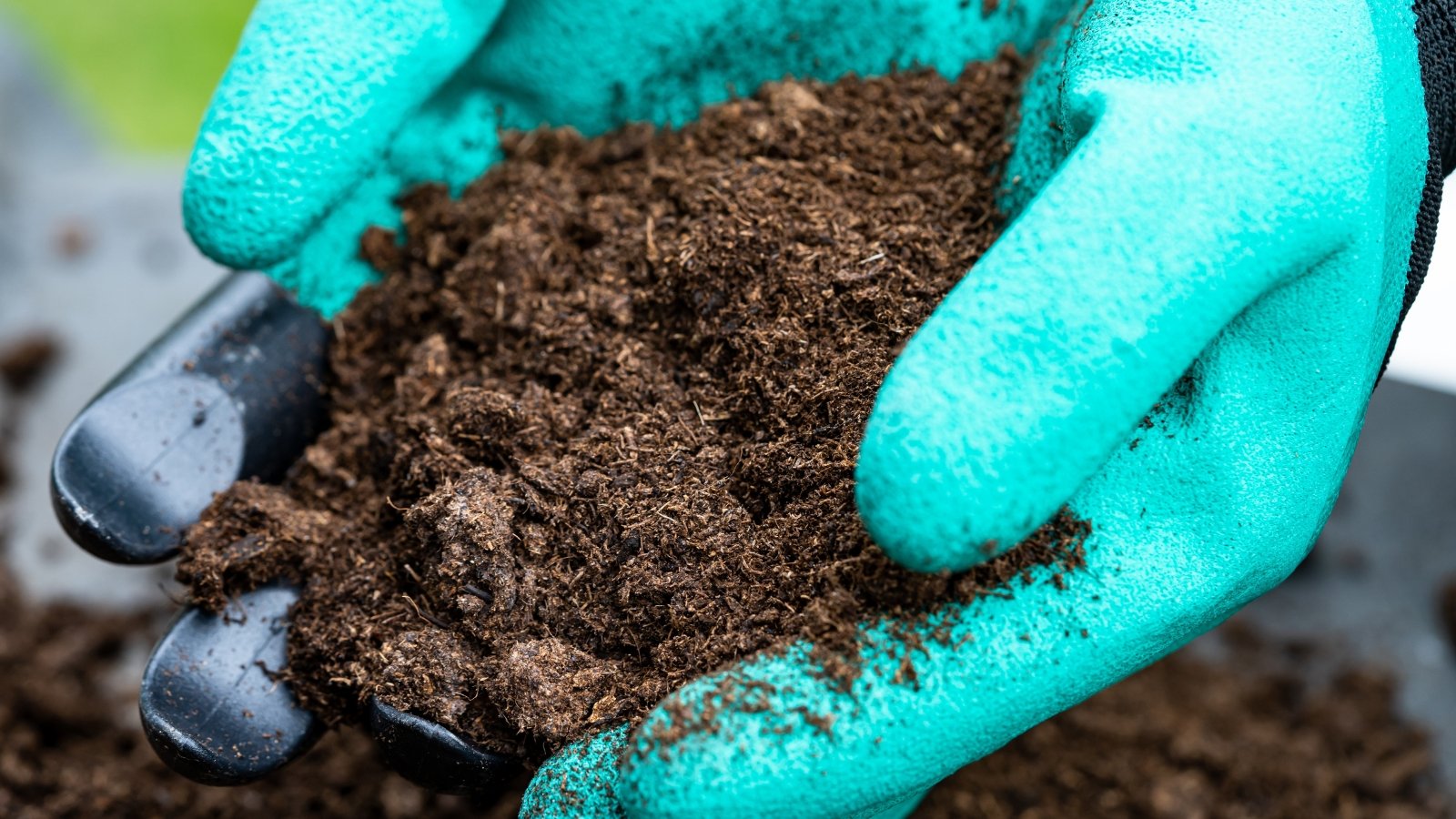 A close-up of a hand in blue glove grasping peat moss, its texture rich and organic, bathed in sunlight's warm glow, revealing earthy hues and intricate patterns.