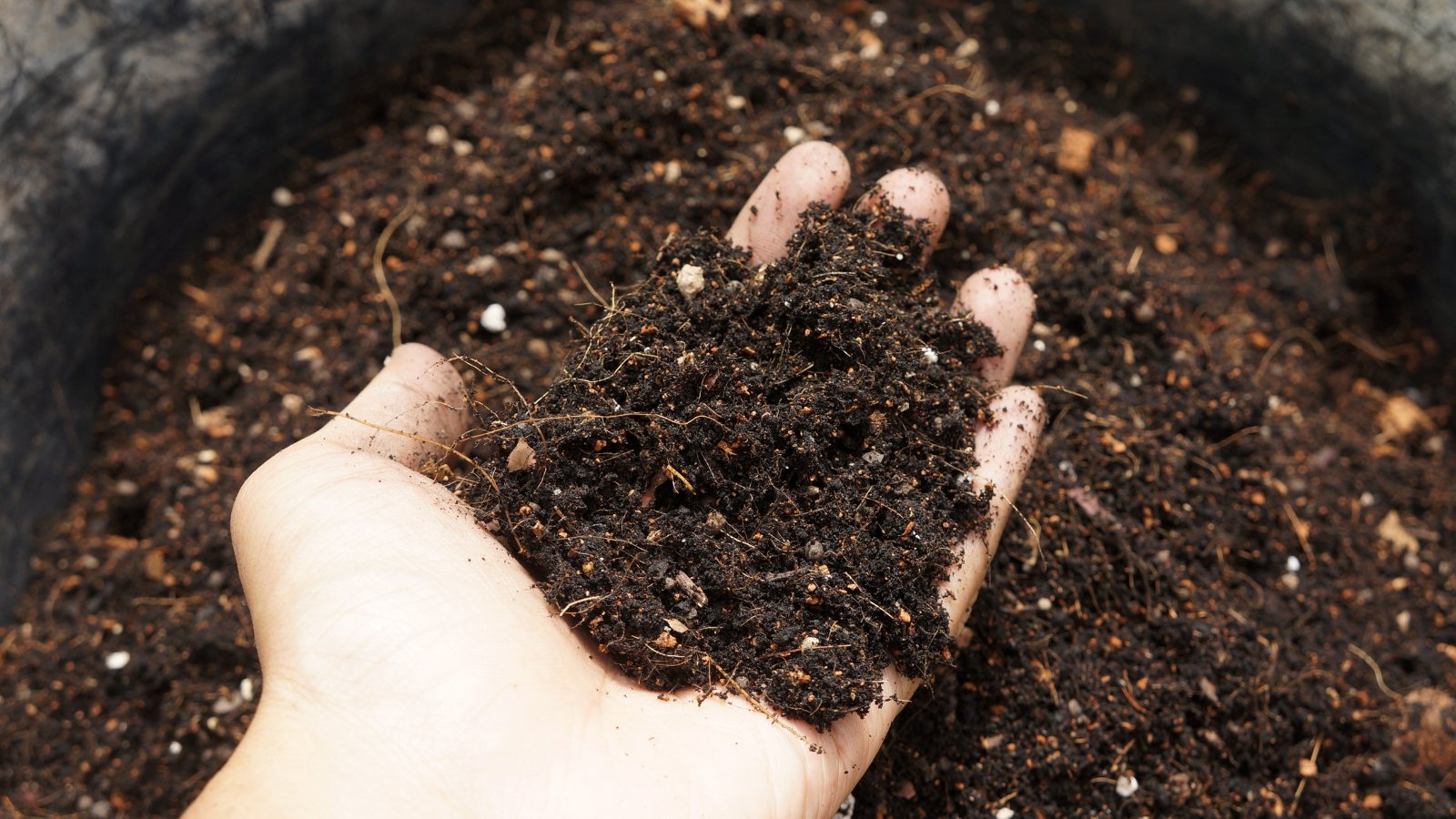 A hand cradles a mixture of rich, dark soil, teeming with potential for growth and nourishment. The earthy blend is nestled within a spacious container, offering ample room for roots to spread and thrive. Its texture hints at fertility, promising a fertile ground for botanical wonders.