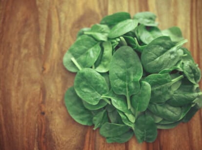 How to harvest spinach