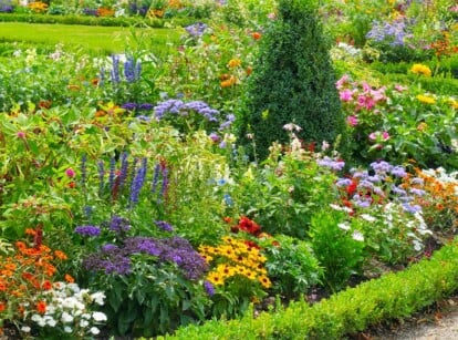 A sprawling garden adorned with carefully arranged flower curbing, creating a vibrant border. The garden is a symphony of colors, showcasing a diverse array of flowers and plants that come together to form a mesmerizing and picturesque landscape.