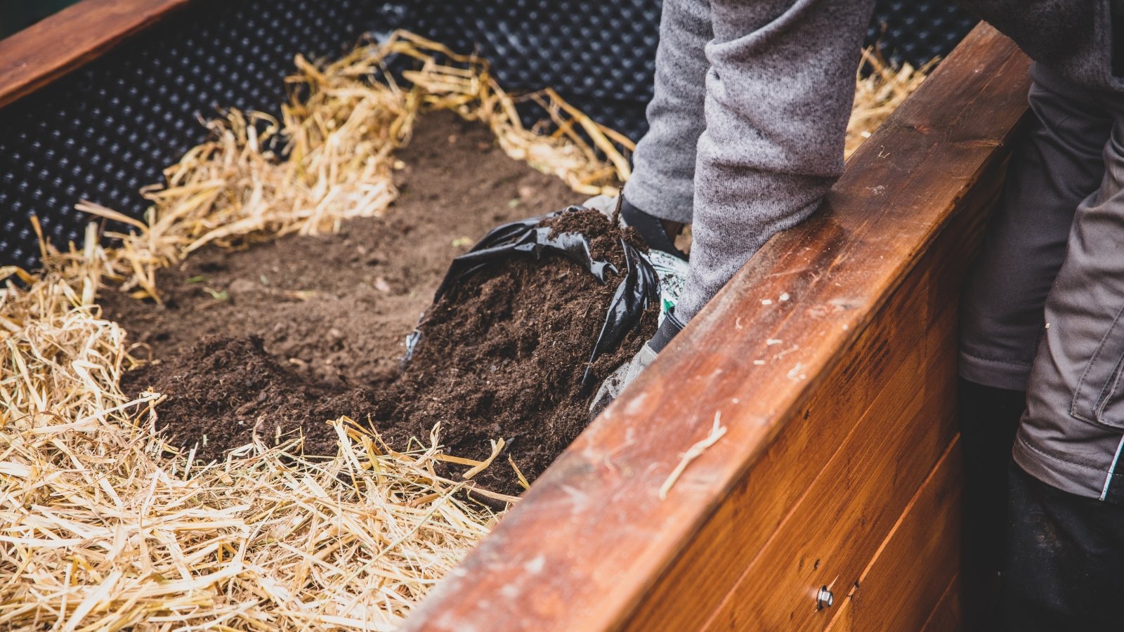 A gardener fills a wooden raised bed with a mixture of straw and dark soil, preparing the perfect environment for plants to grow healthily and thrive in their new home.