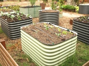 metal raised beds heat