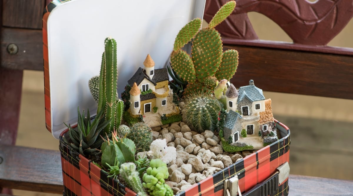 A metal box featuring a charming plaid pattern serves as a container for a delightful assortment. Within, a harmonious blend of succulents, pebbles, and whimsical miniature house decorations creates a captivating miniature garden.
