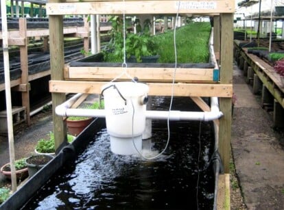 Outdoor Aquaponics System