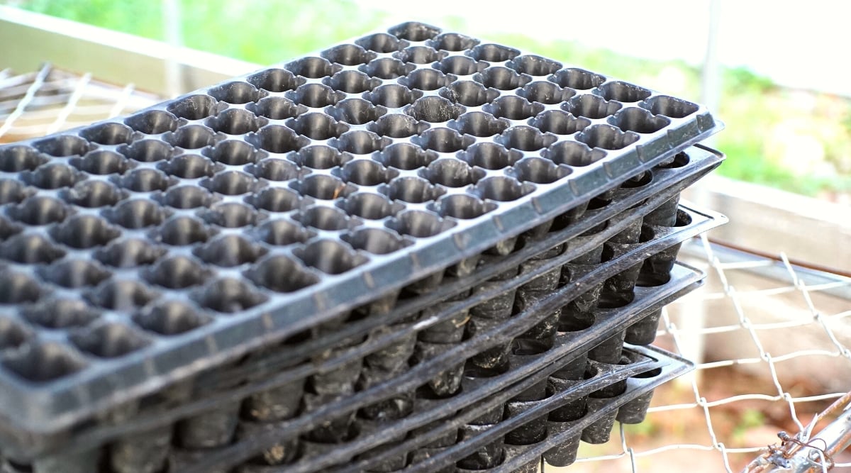 Close-up of several plastic cell trays stacked on top of each other in a garden against a blurred background. Cell trays are rectangular-shaped containers with multiple small, individual cells, each serving as a separate compartment for planting seeds. They are plastic and black.