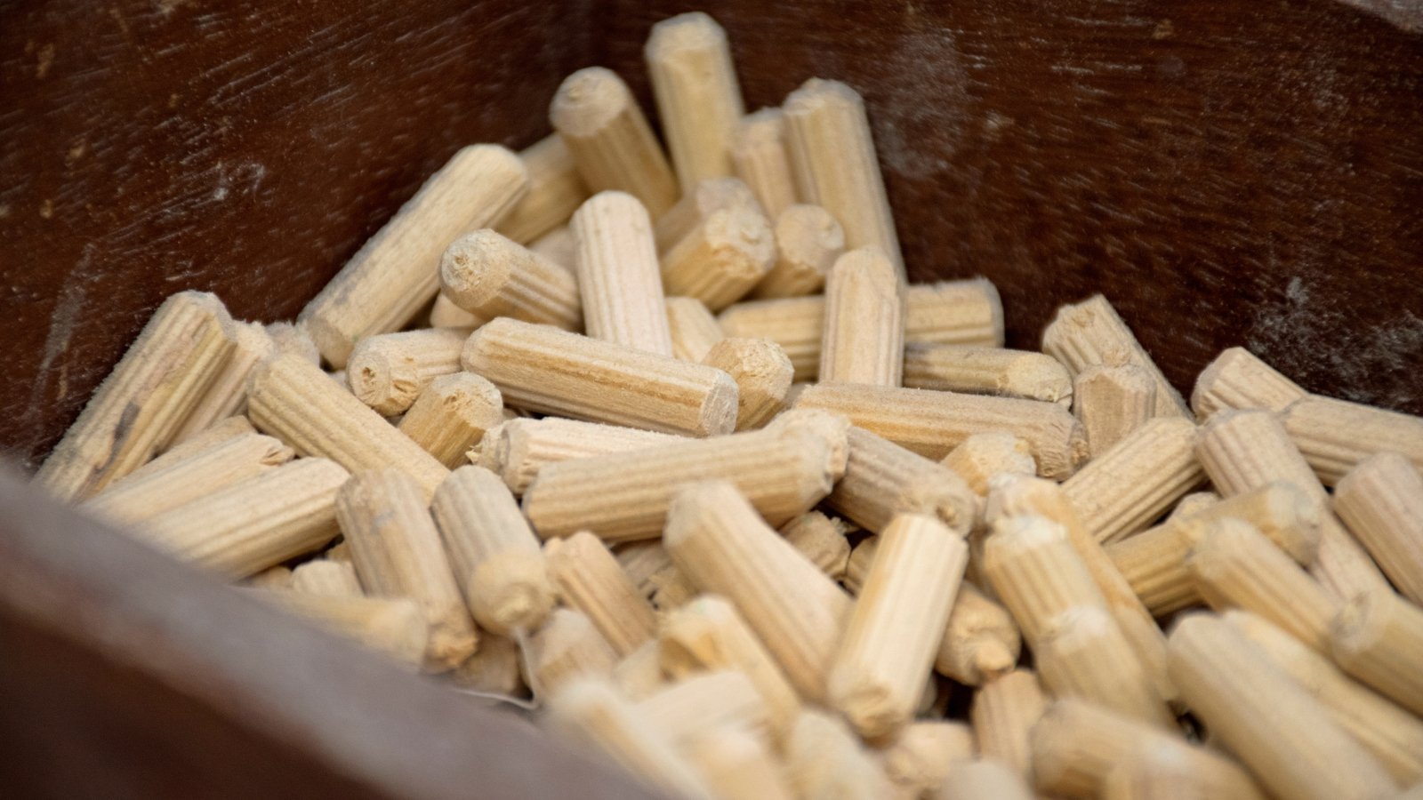 A close-up of cylindrical wooden plugs filled with material, neatly arranged in a tray for easy use in growing setups.