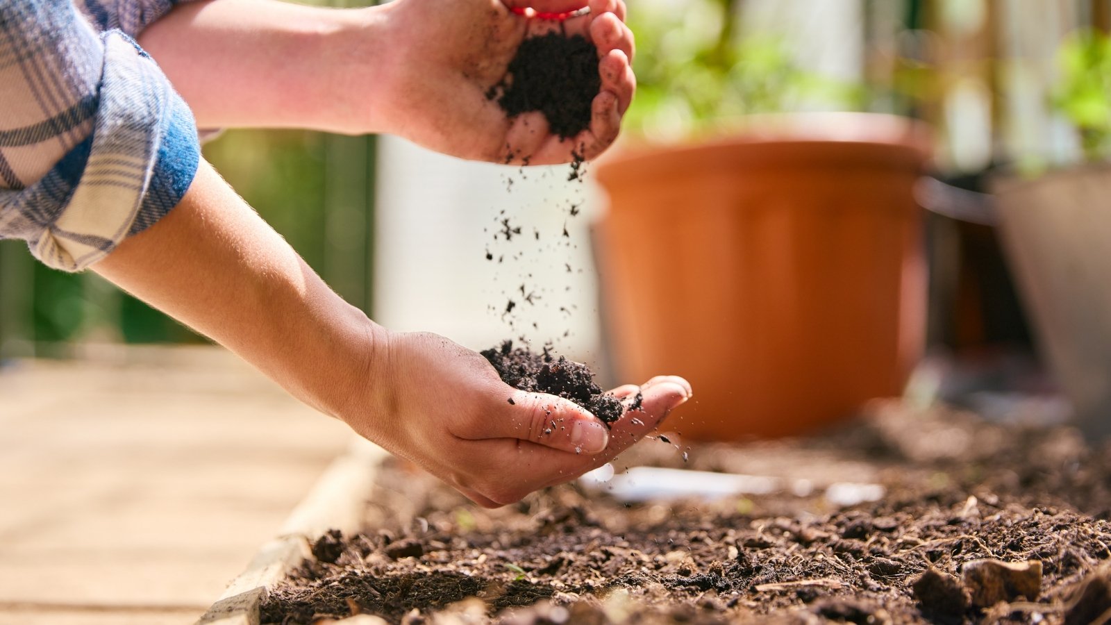 Close-up of a gardener preparing the soil for planting in a sunny garden.