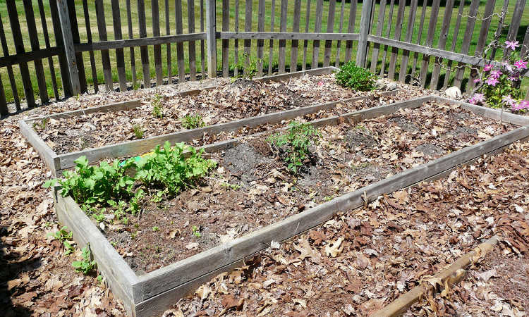 Raised bed garden