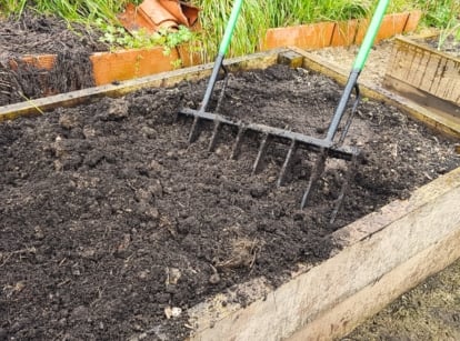 raised bed spring. Close-up of a broadfork garden tool stuck into the soil in a raised garden bed. The broadfork garden tool features a sturdy, broad frame with multiple tines or prongs extending downward from a crossbar.