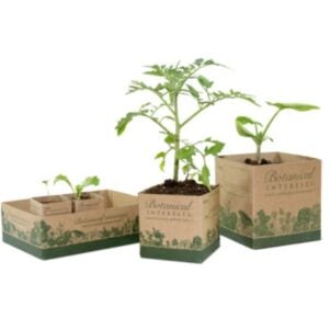 Recycled Paper Pots