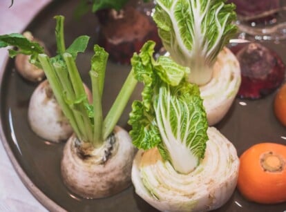 In a bowl filled with murky brown water, cabbages, and carrots show green shoots emerging from their bases, regrowing from discarded scraps. These resilient vegetables sprout anew, promising future harvests.