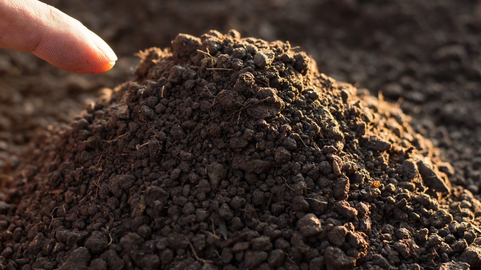 A pointed finger gestures towards a mound of fertile, brown soil, bathed in radiant sunlight, hinting at the promise of growth and abundance in the nurturing warmth of the sun.