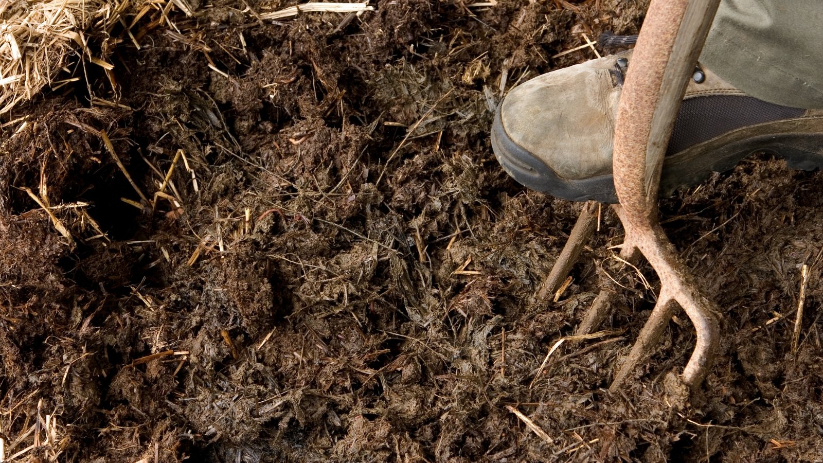 A gardener in brown boots firmly presses a gardening fork into the moist soil, preparing the earth for planting. They use their foot to drive the fork, mixing in organic mulch for nutrient-rich soil.