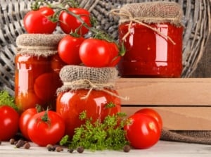 sauce canning tomatoes. Displayed jars of canned tomatoes and tomato sauce on a table with clusters of fresh tomatoes and a bunch of fresh dill.