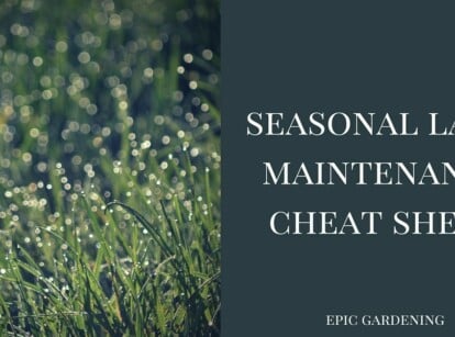 Lawn Maintenance: Your Seasonal Cheat Sheet