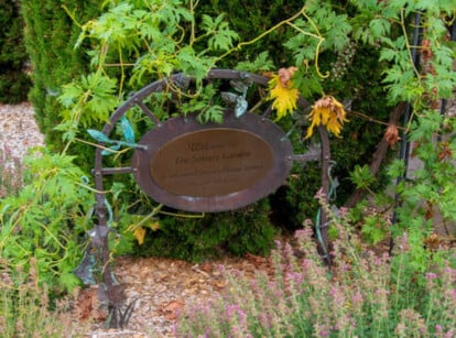 Sensory garden