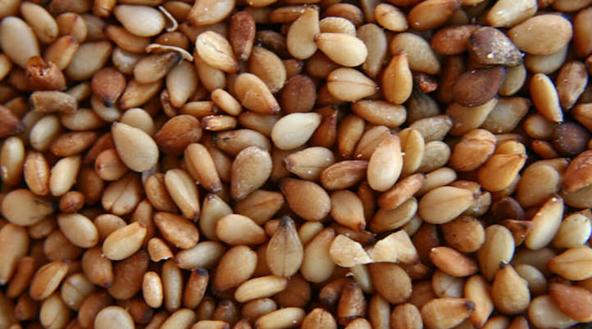 Sesame seeds