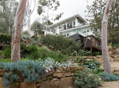 A modern home is surrounded by a terraced garden filled with diverse plants.