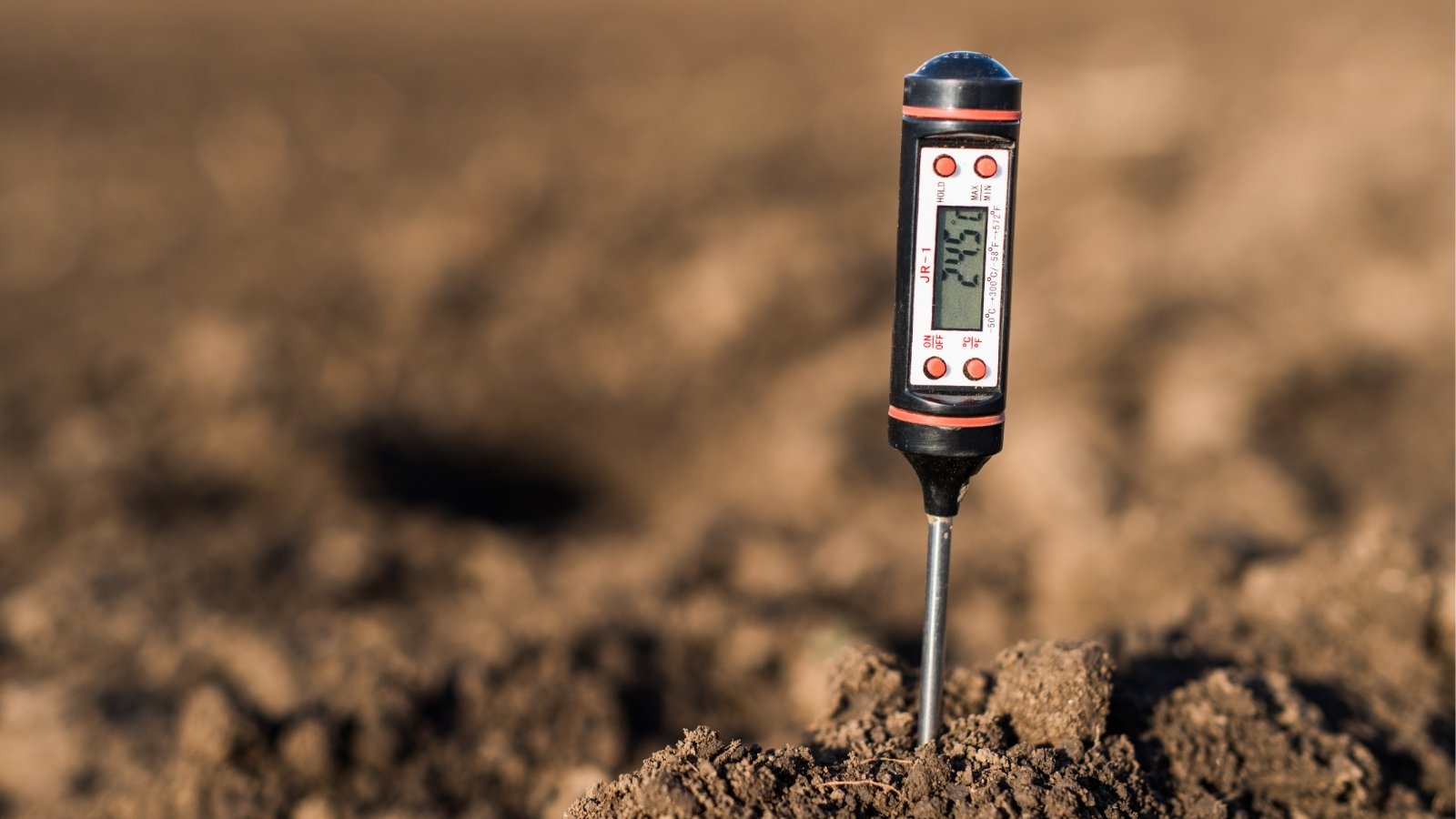 A soil pH meter rests in the earth, its sleek design contrasting with the brown soil. The meter's display illuminates, indicating the soil's acidity level. The surrounding soil seems loamy, hinting at its potential for supporting thriving plant life.