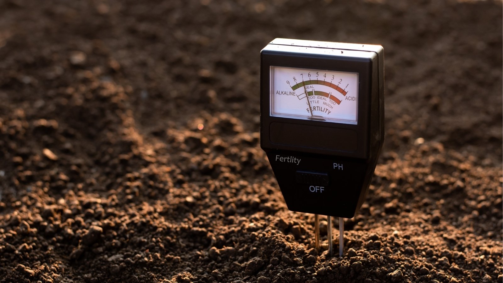 Soil pH meter nestled in rich brown soil, its digital display prominent. The device measures acidity and alkalinity, ensuring optimal conditions for plant growth. The soil beneath appears moist and nutrient-rich, promising a fertile environment.