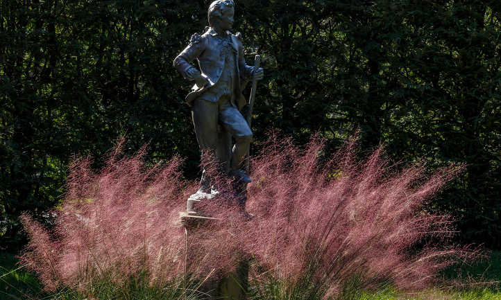 Statue with muhlenbergia capillaris