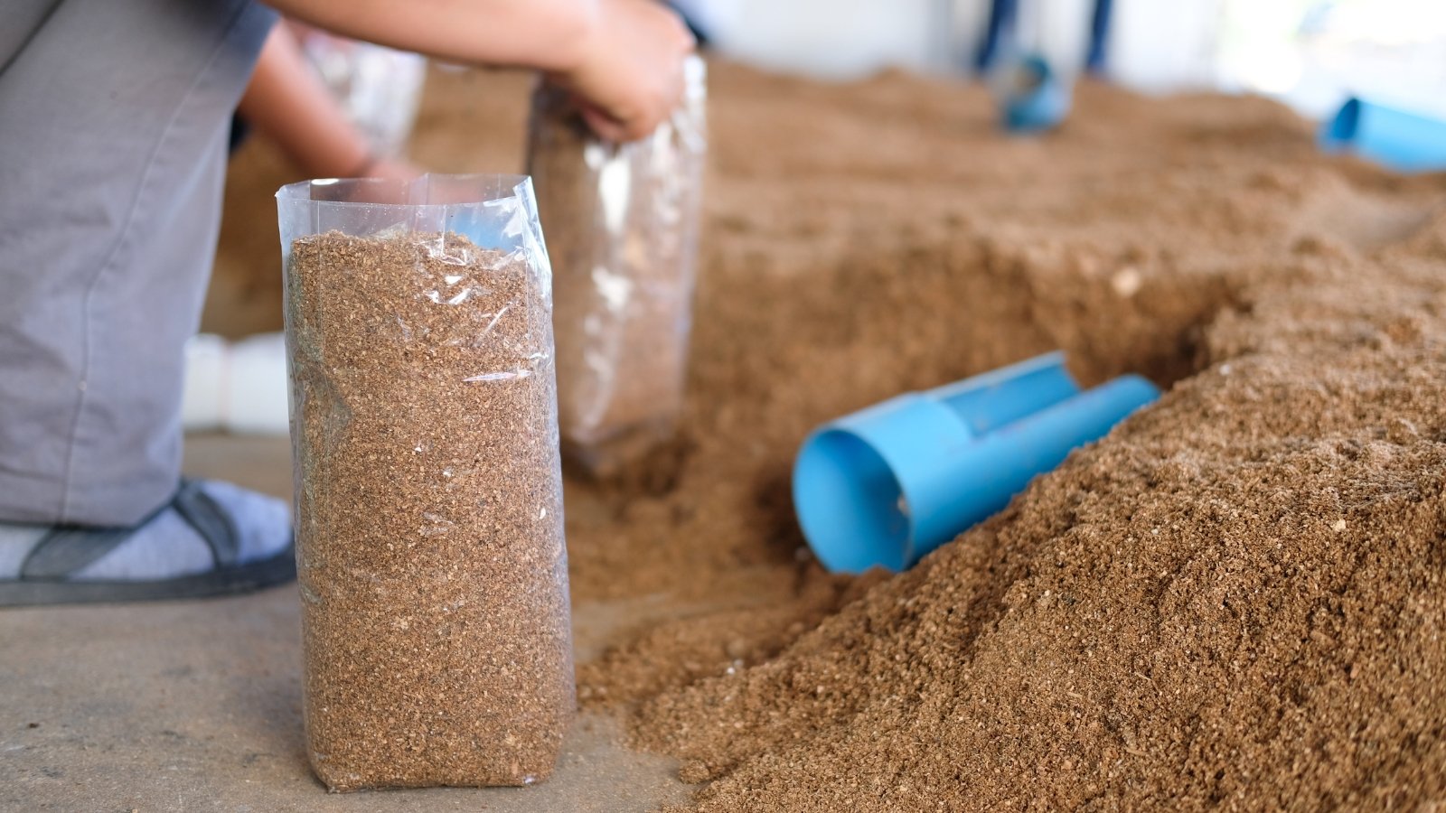 Loose substrate material being prepared on a clean surface, with a hand holding a clear bag and a blue scoop nearby.