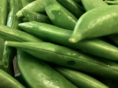 Snap peas