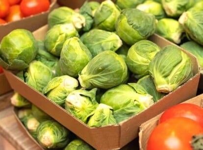 tomatoes and brussel sprouts