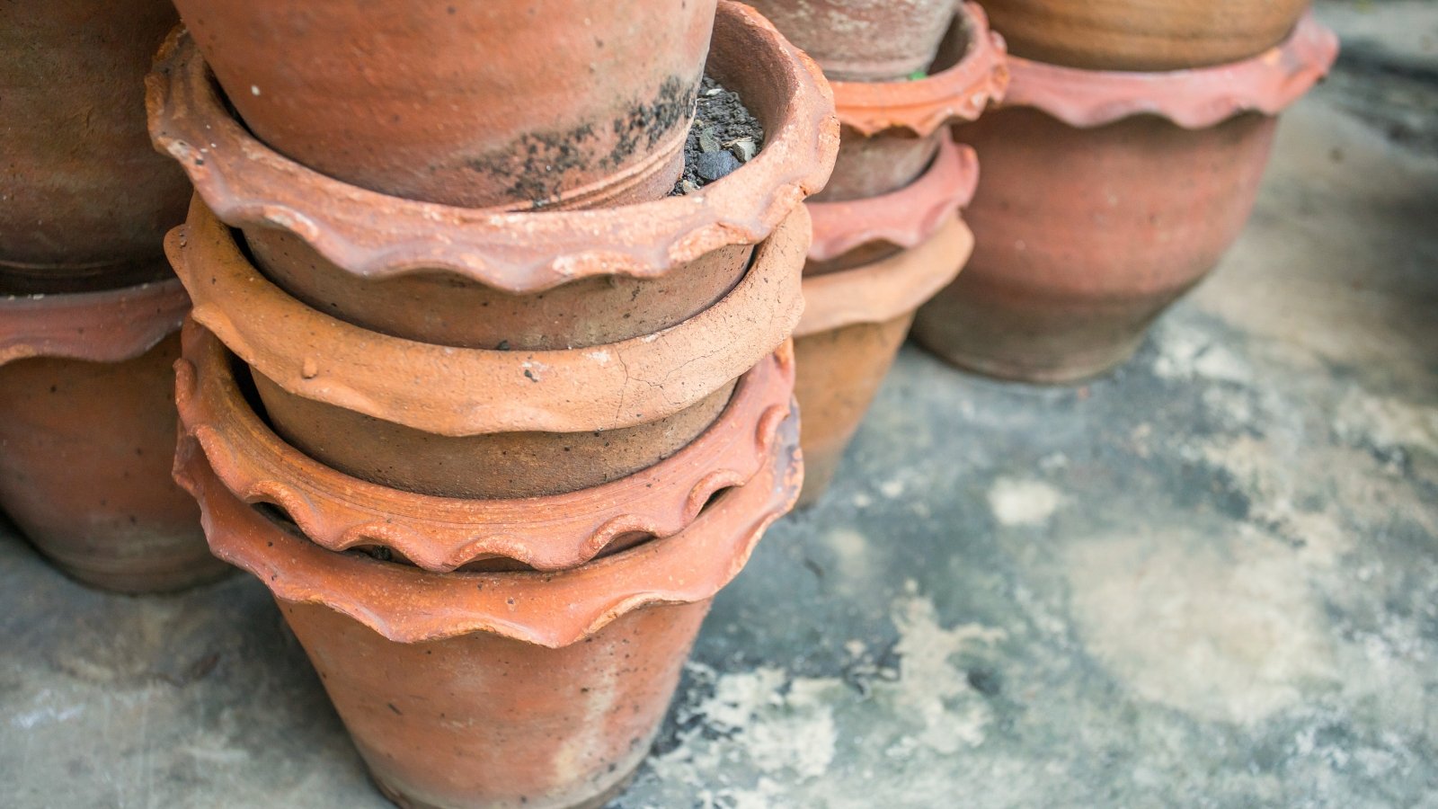 A close-up shot reveals a stack of used terracotta flower pots resting on a concrete floor within a garden setting.