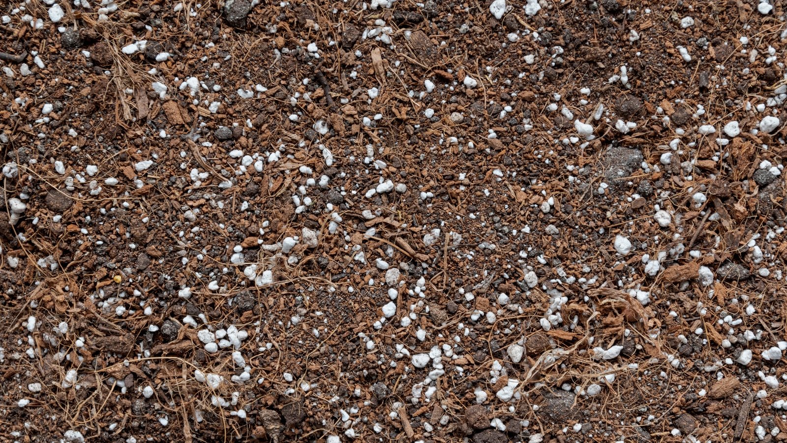 A potting mix, a blend of nutrient-rich soil, organic matter, and perlite for optimal plant growth. Its airy texture promotes healthy root development while retaining moisture, creating an ideal environment for vibrant and thriving plants.