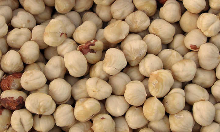 Wepster hazelnuts