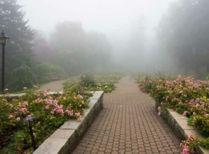 Wheelchair accessible garden paths